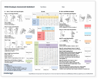 Reba Assessment Worksheet - prntbl.concejomunicipaldechinu.gov.co